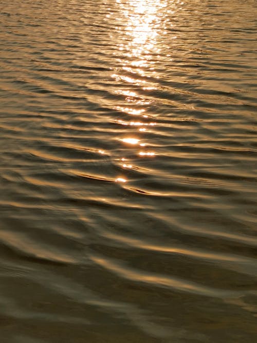 Sunlight Reflection on Body of Water