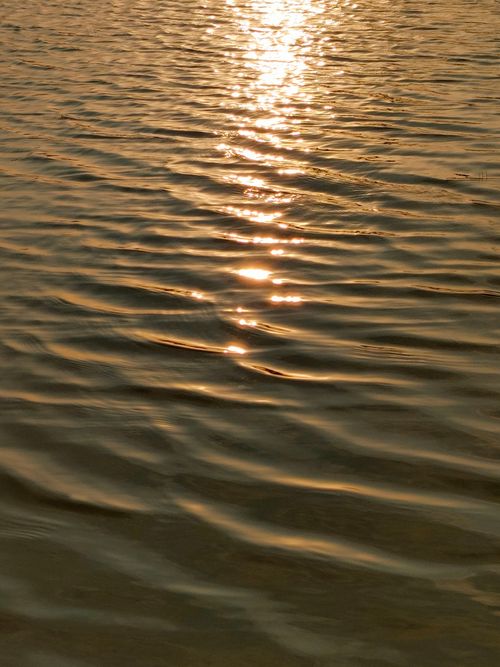 Free Golden sunlight reflecting on gentle ocean waves creating a calming ripple effect. Stock Photo