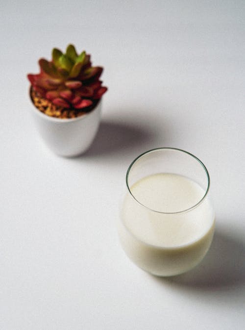 Glass of Milk Beside Potted Plant