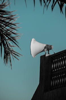 Megaphone installed outdoors against a clear blue sky in Dubai, with palm leaves framing the scene.