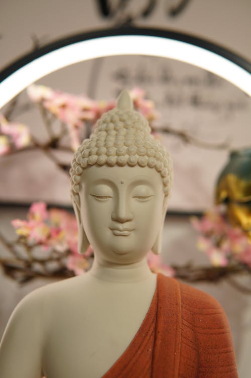 Imagine de stoc gratuită din Buddha, budism, convingere