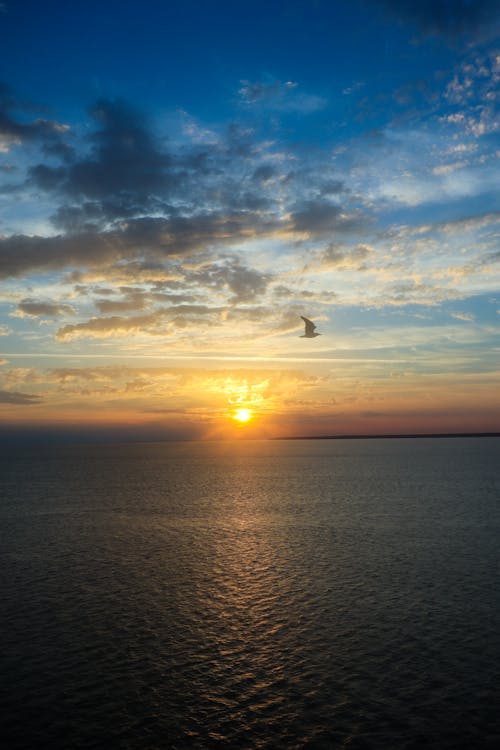 Photograph of an Ocean during Sunrise