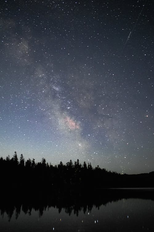 Foto profissional grátis de árvores, astronomia, céu estrelado