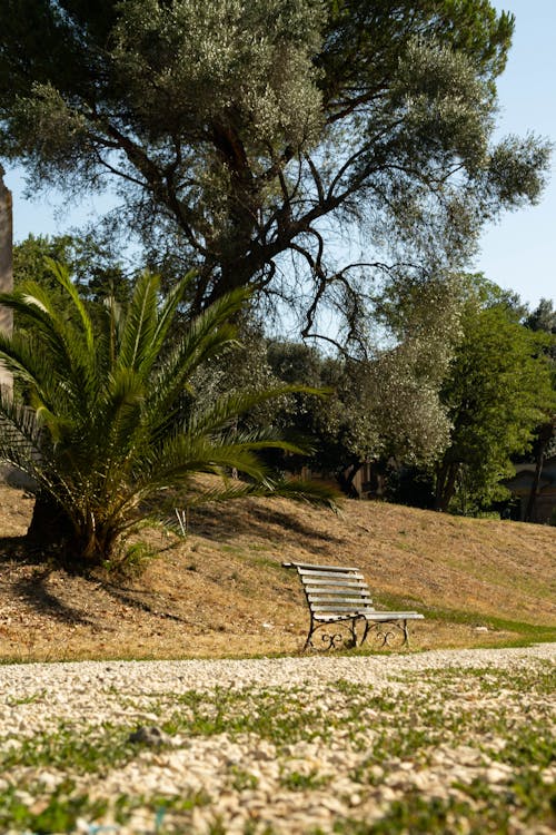 Bank In Einem Italienischen Park