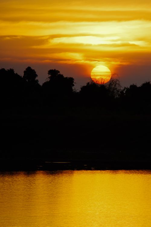 Free A breathtaking sunset casting golden hues over a serene lake with silhouetted trees. Stock Photo