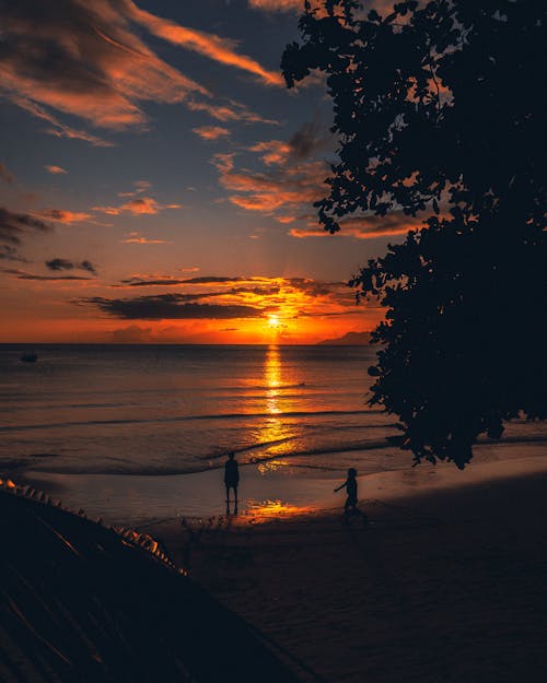 Бесплатное стоковое фото с seychelles, апельсин, багровое небо
