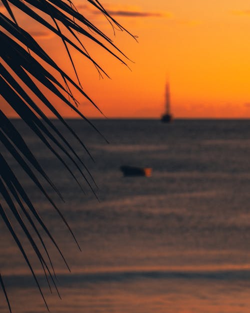 Fotos de stock gratuitas de agua, barcos, cielo del atardecer