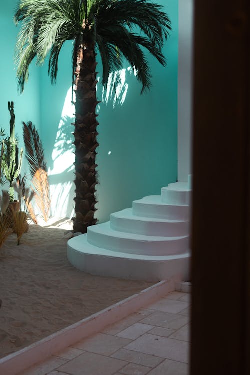 Darmowe zdjęcie z galerii z drzewo palmowe, pionowy strzał, schody