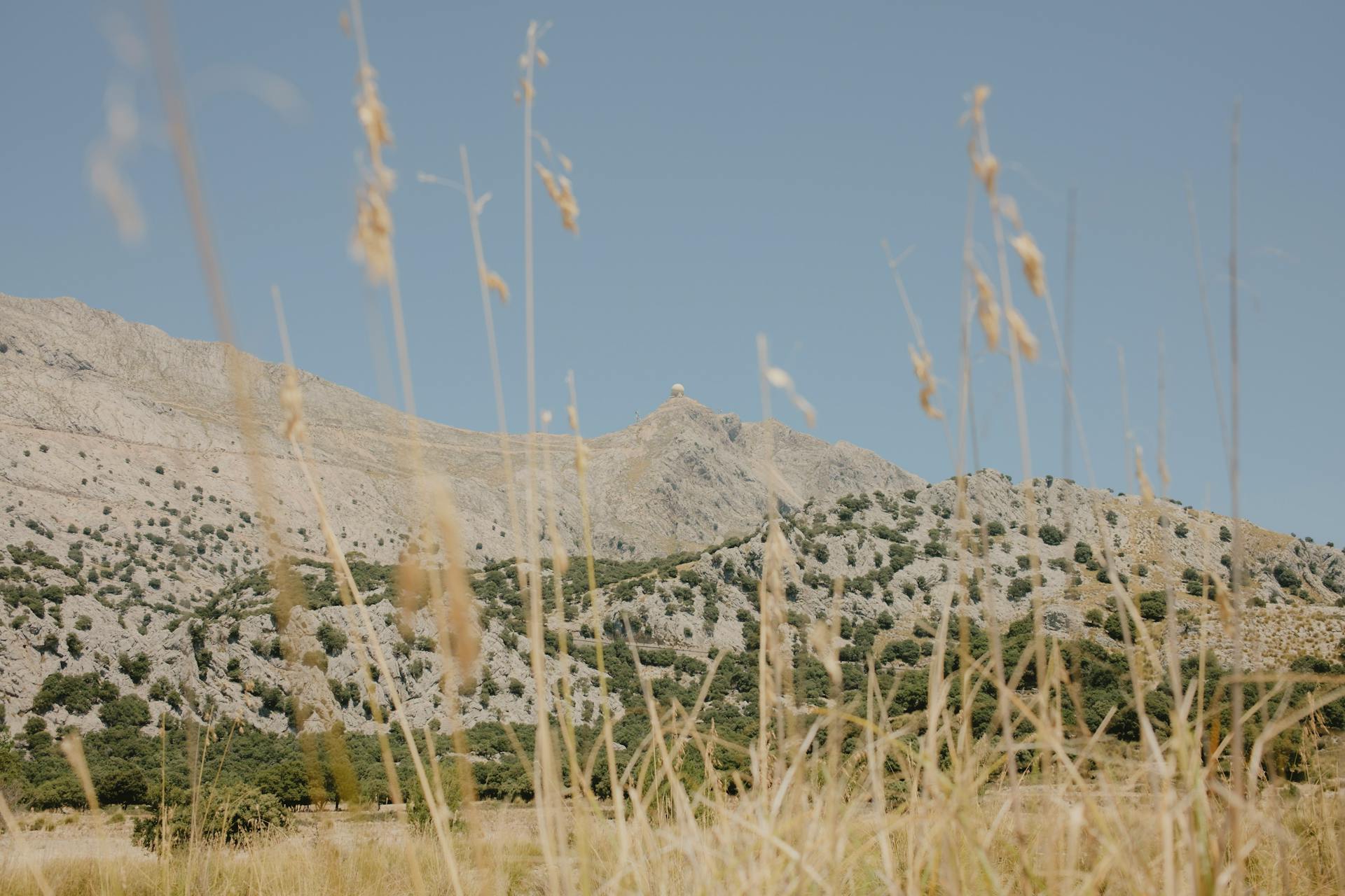 Mountains behind Grass