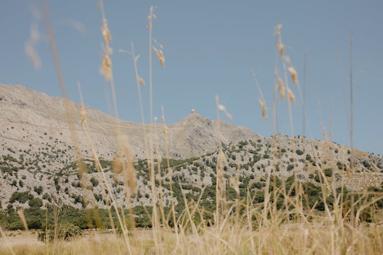 Mountains Behind Grass