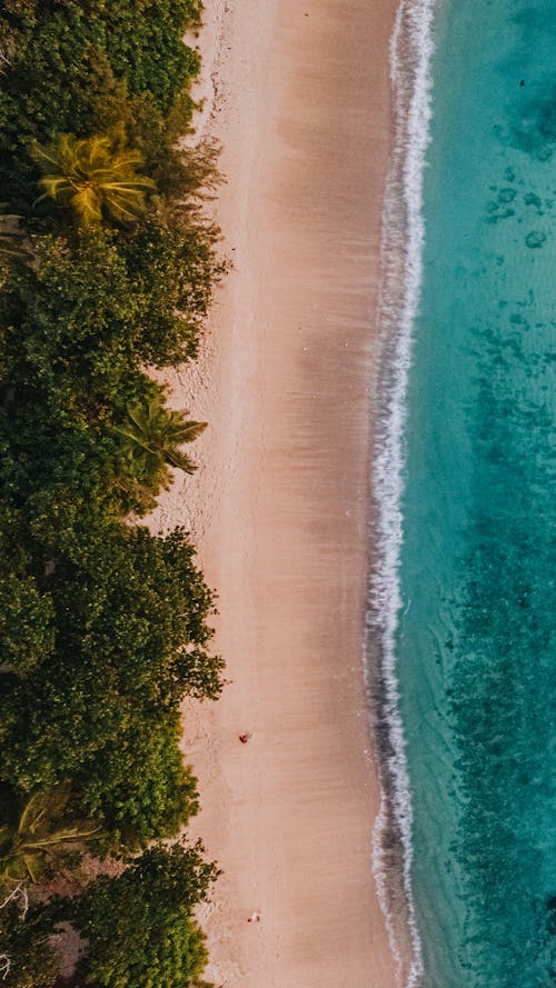 Aerial View of a Beach 