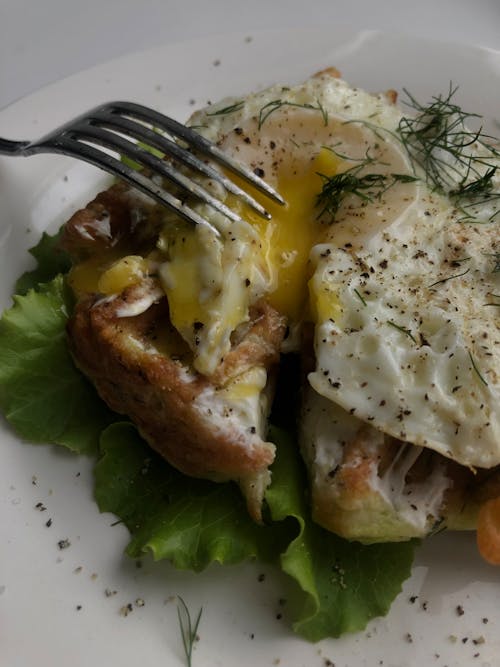 Free Fired Egg with Herb on Bread Stock Photo