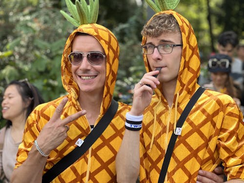 Kostnadsfri bild av ananas, festival, firande