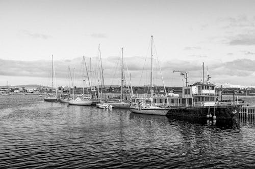 Fotos de stock gratuitas de agua, barcos, blanco y negro