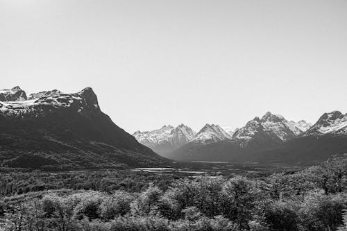 Grayscale Photo of Mountains and Trees