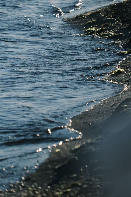 Free A tranquil view of ocean waves gently washing onto a sandy shore under sunlight. Stock Photo