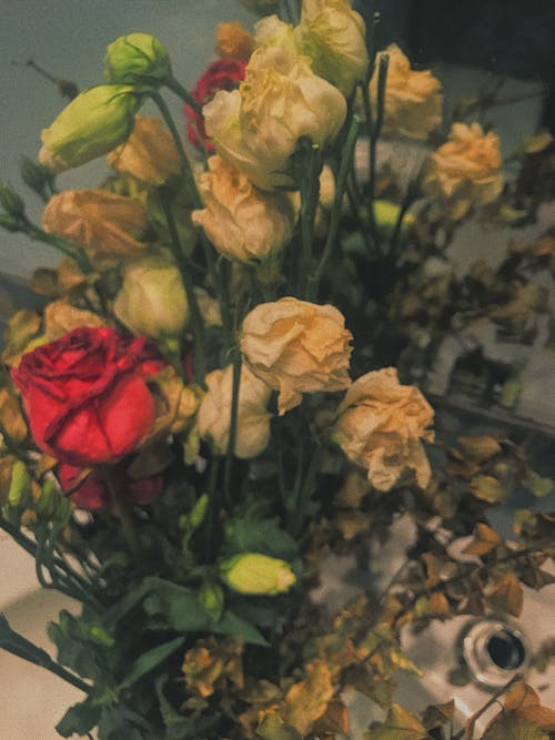 çiçek buketi, çiçeklenmek, Çiçekler içeren Ücretsiz stok fotoğraf