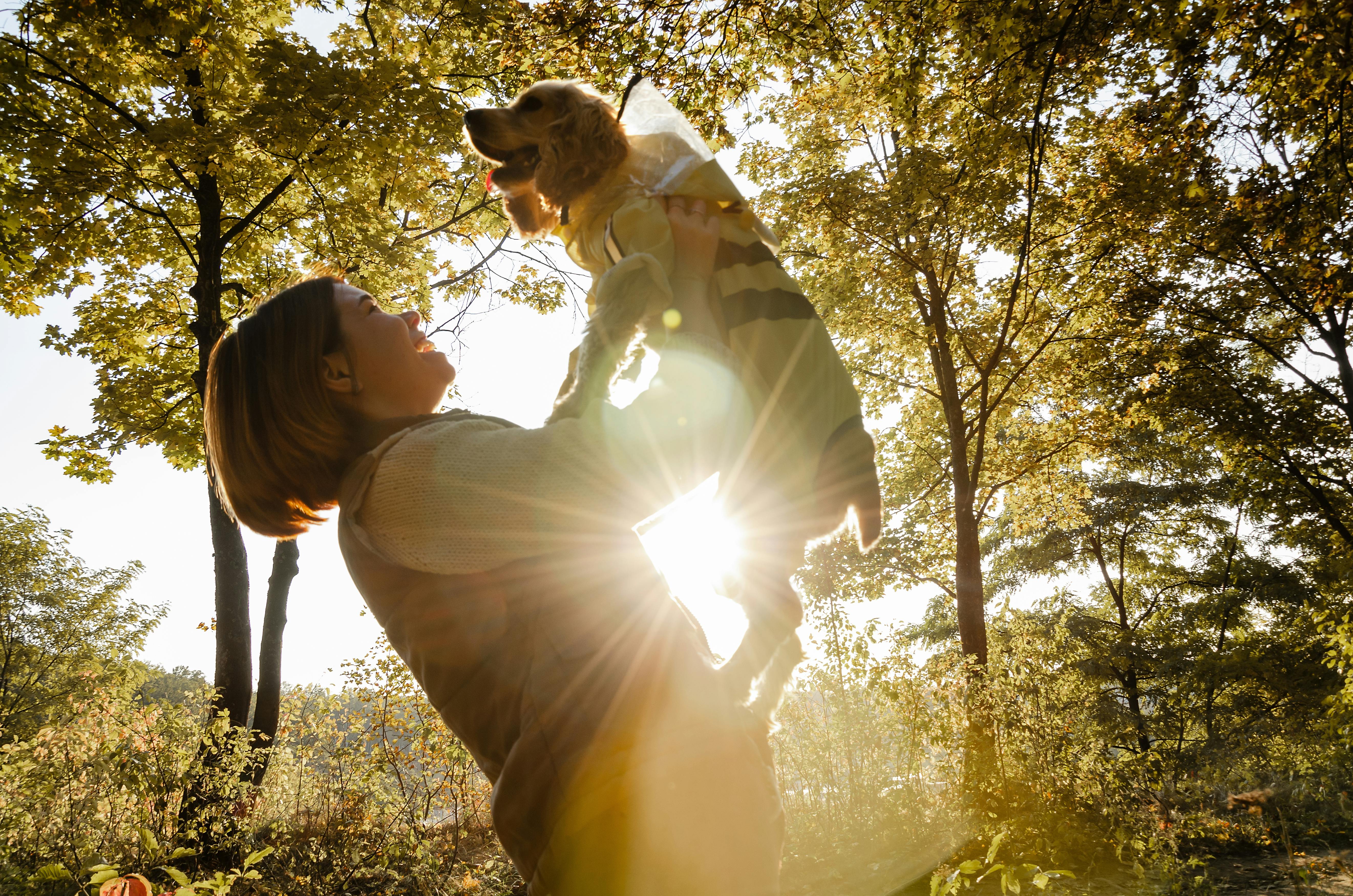Pet Insurance That Pays Vets Directly in 2026 — Photo by Anastasiia Vyshnevska on Pexels