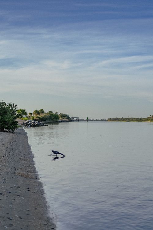 Free A serene riverside view featuring a lone bird on the shoreline under a blue sky. Stock Photo