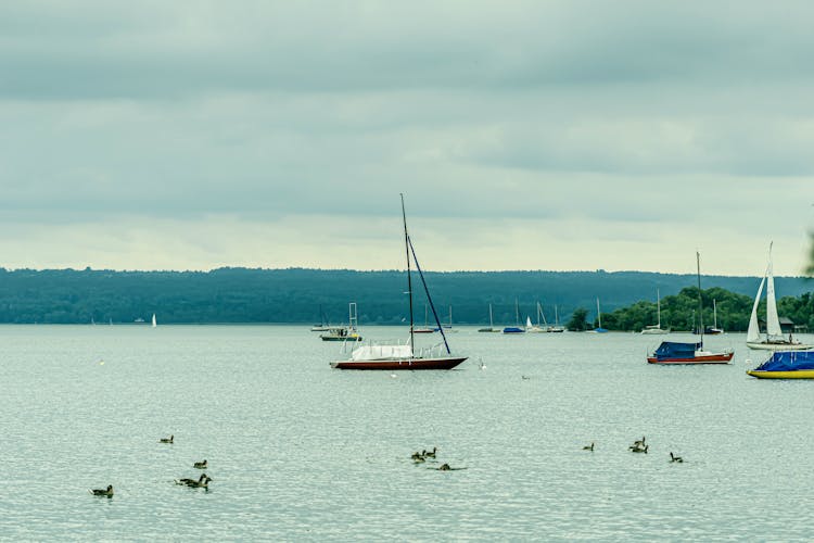 Ammersee Boot