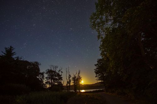 Free Scenic night landscape featuring stars in the sky and moonrise reflecting on a tranquil pond. Stock Photo