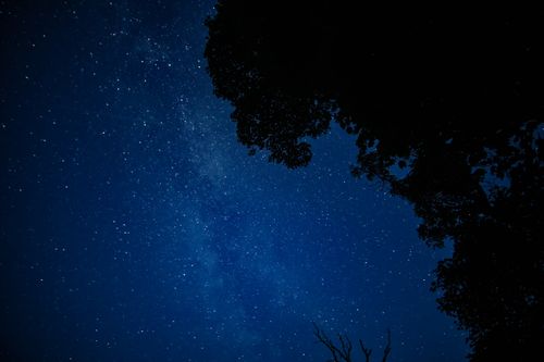 Free A breathtaking starry night sky with a tree silhouette framing the view. Stock Photo