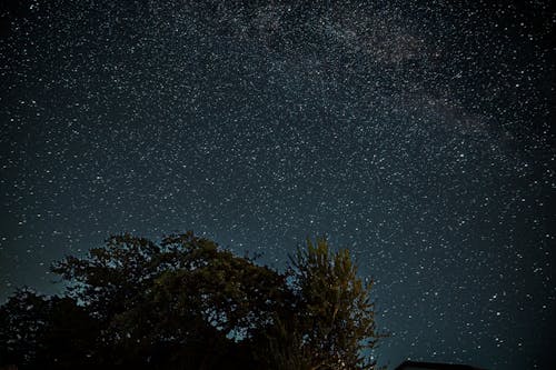 Free A Starry Night Sky Stock Photo