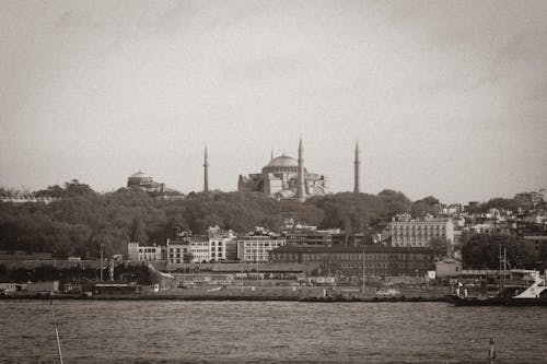Gratis arkivbilde med gråskala, Istanbul, kalkun