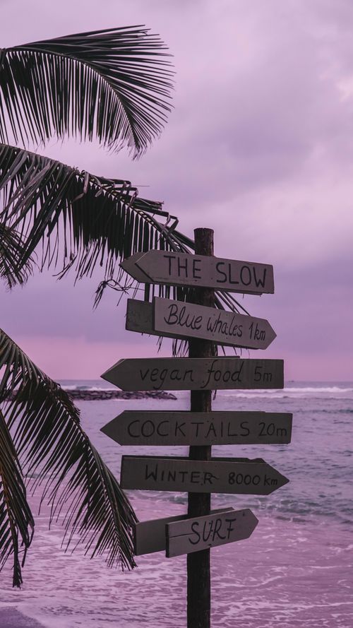 Free Wooden signpost with tropical scenery and pastel sunset sky. Stock Photo