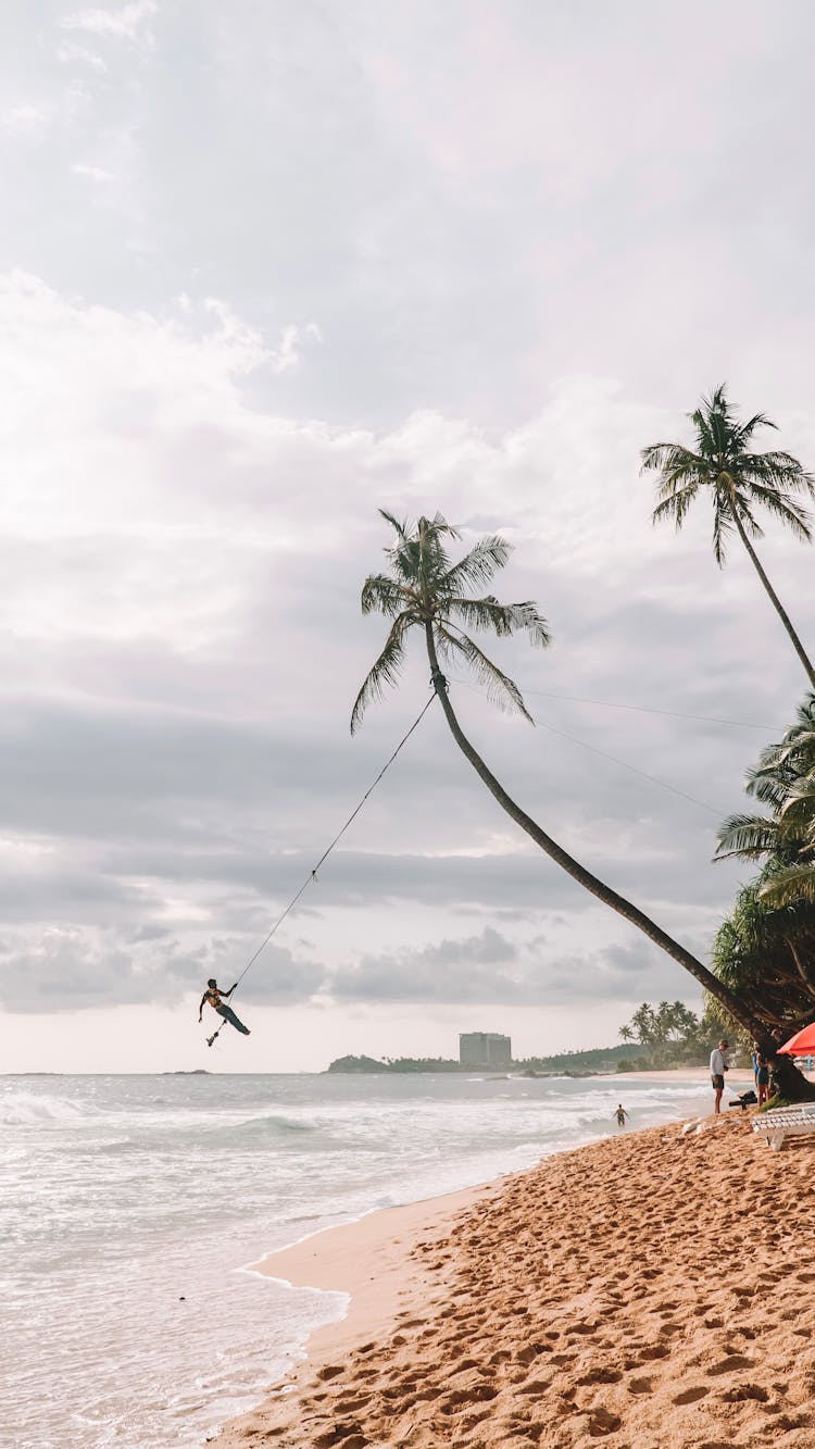 A Person Hanging On A Rope Attached To A Palm Tree At A Beach