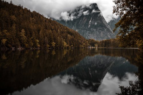 Foto profissional grátis de árvores, calma, lago