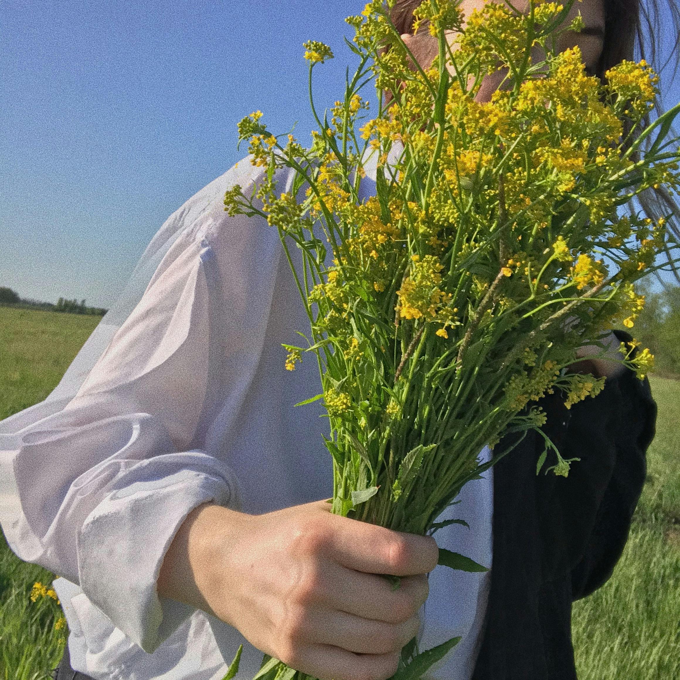 A person holds a bouquet of wild yellow flowers in a sunny field. Summer vibes.
