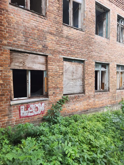 Free A brick building's abandoned facade with boarded windows and graffiti, surrounded by overgrown plants. Stock Photo