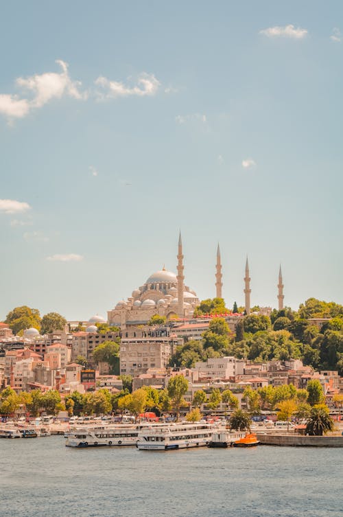 Suleymaniye Mosque Surrounded by Trees 