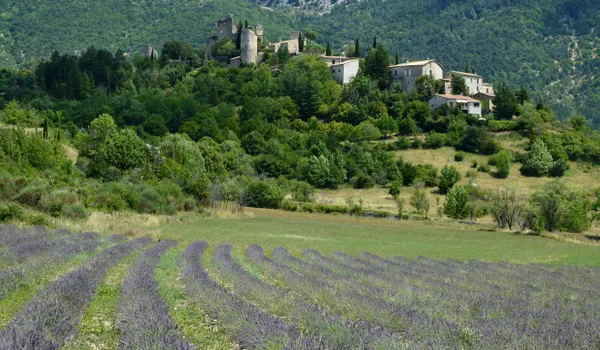 Provence lavender field village