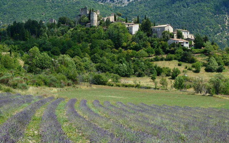 Airbnb Pedals Away From Paris: How the Platform Is Rebranding Itself Through Rural France