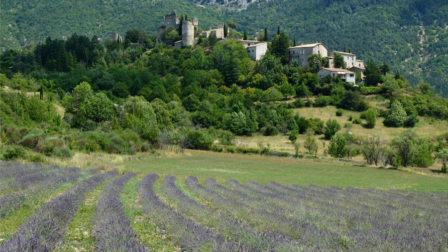 France — day 6