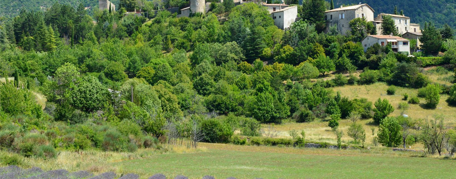 A picturesque hillside village surrounded by greenery and lavender fields under a clear sky.