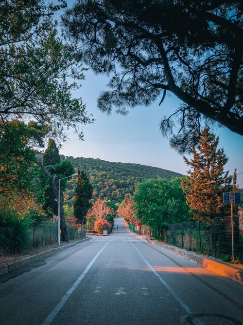 Free A picturesque road lined with trees leading towards a forested hill under a clear sky at sunset. Stock Photo