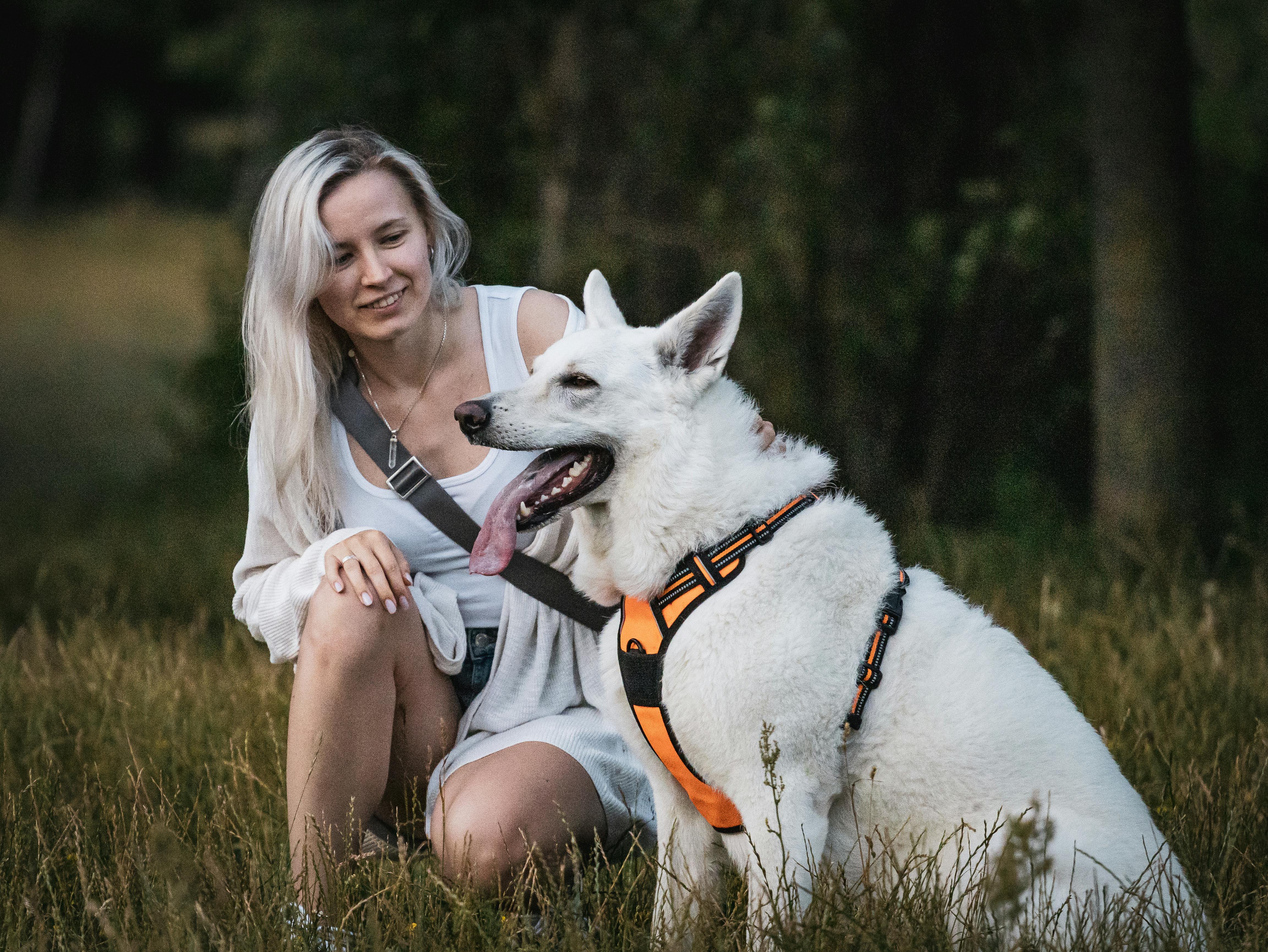 pet technology limited — Photo by Aliaksei Semirski on Pexels