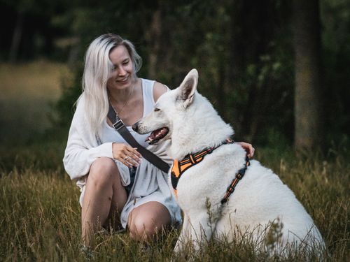 Free Woman in a white dress smiling at a white dog in a forest setting, creating a joyful and serene atmosphere. Stock Photo