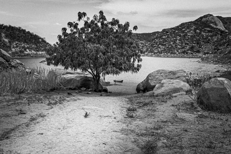 Boulders On River Bank In Mountains Landscape