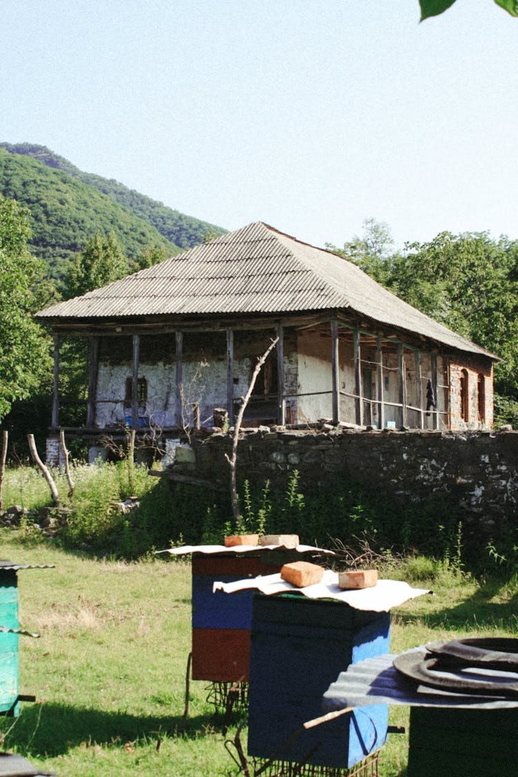 Beehives In Garden