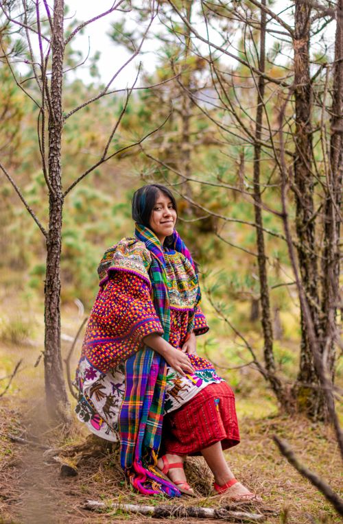 Free A woman in vibrant traditional clothing sitting among trees smiling. Stock Photo