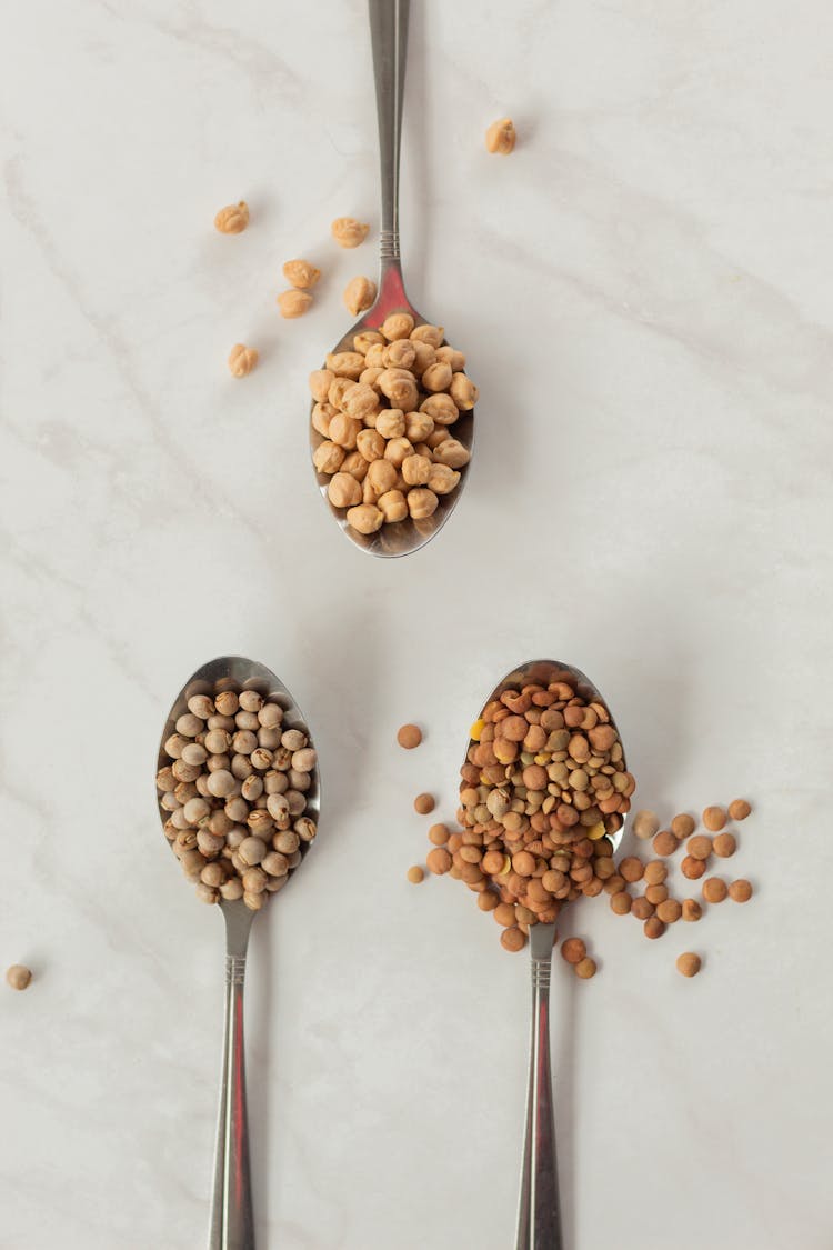 Chickpeas And Grains Of Stainless Steel Spoons