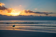 开普敦宁静的海滩、美丽的日落和海鸥尽收眼底，非常适合激发旅行灵感