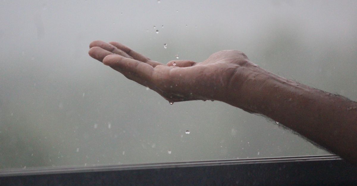 Rain Disease Symptoms Spread Across Europe, Expert Warns of New Transmission Patterns
