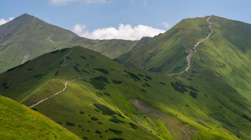 dolina, narodowy, 乔霍洛斯卡 的 免费素材图片