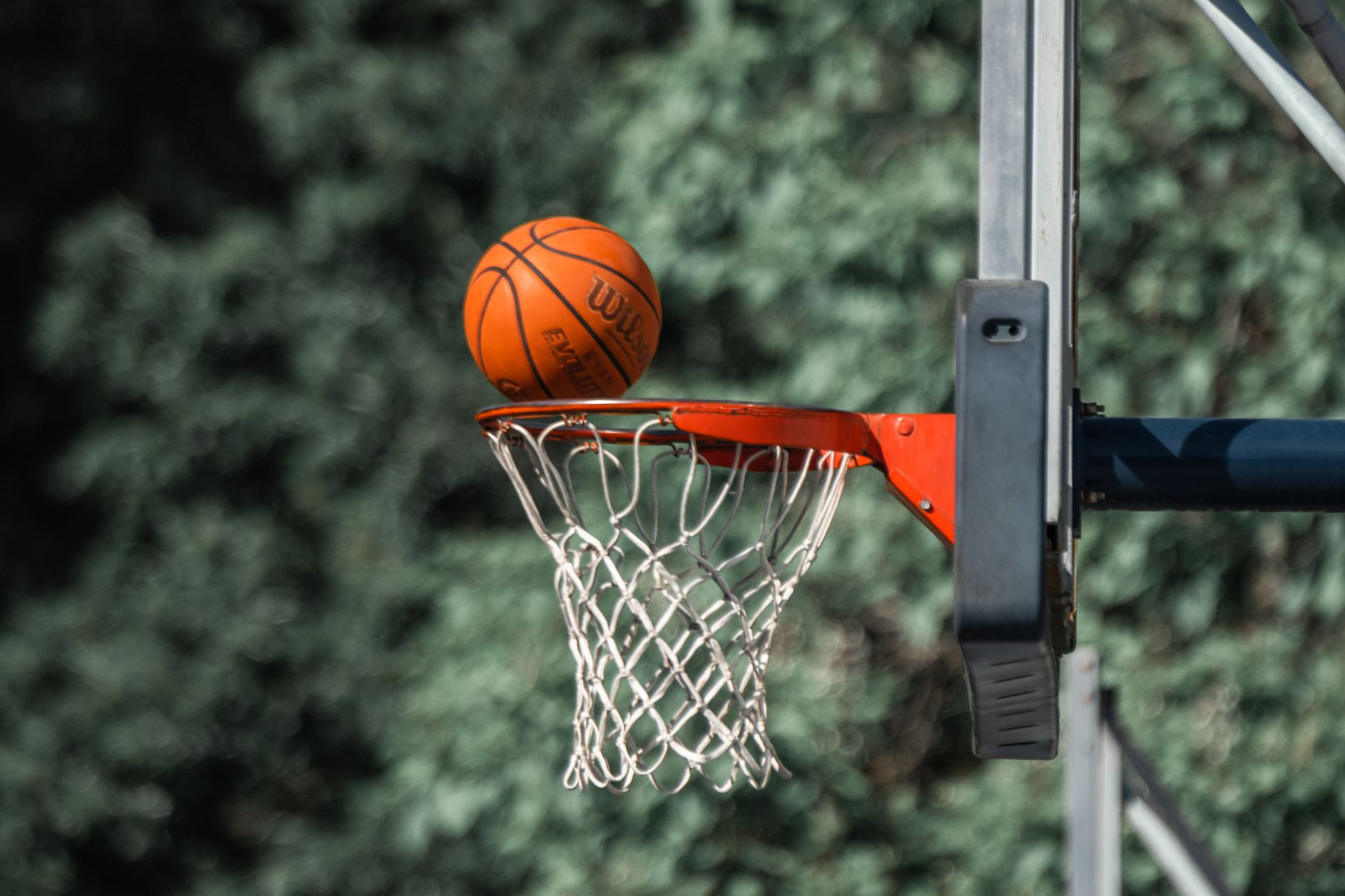 A close-up of a basketball nearing the hoop with a blurred outdoor background, highlighting motion.