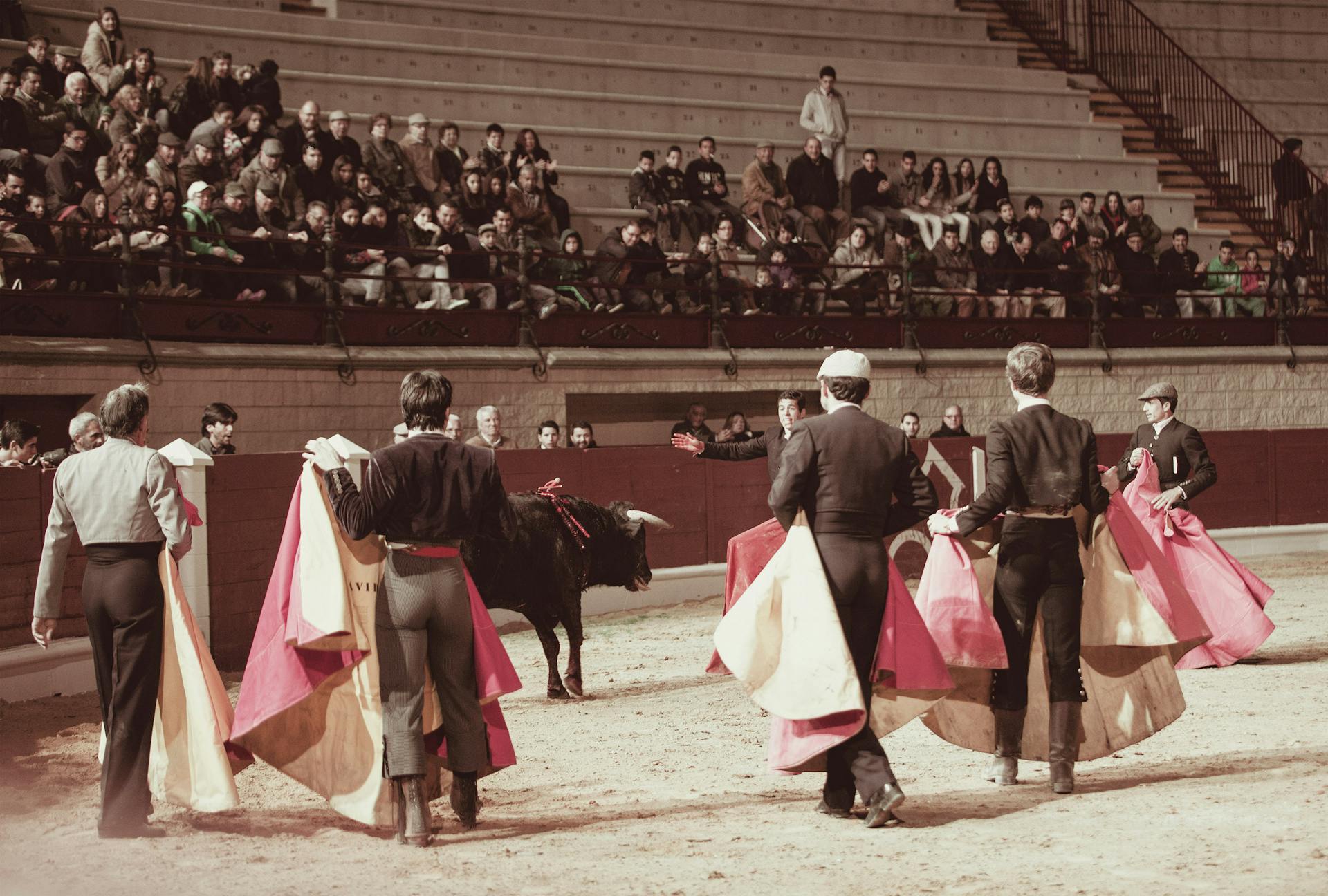 Bullfighters in a Bullring